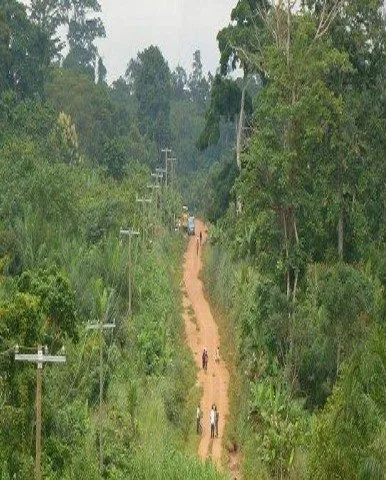 Electrification of 44 Municipal & District Capitals